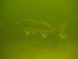 2009-08-01 13-56-56S